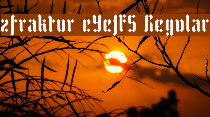 zfraktur eYe/FS Regular Font examples