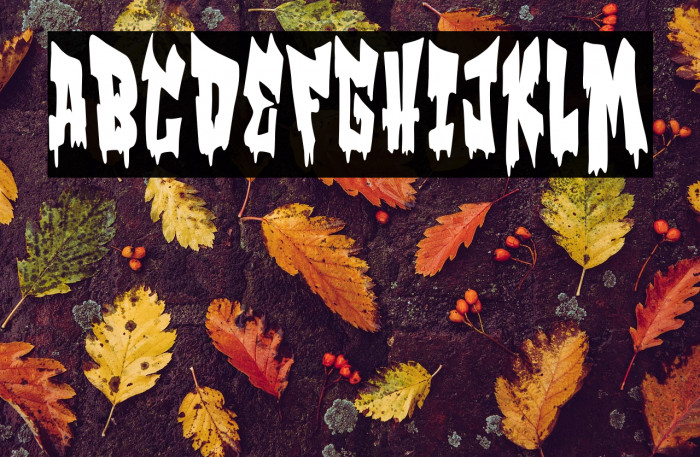 Zgz Bombing 2025 Example 3