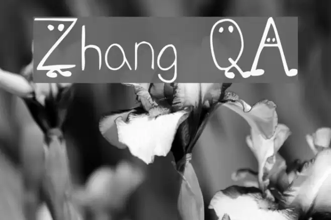 Zhang QA Font examples