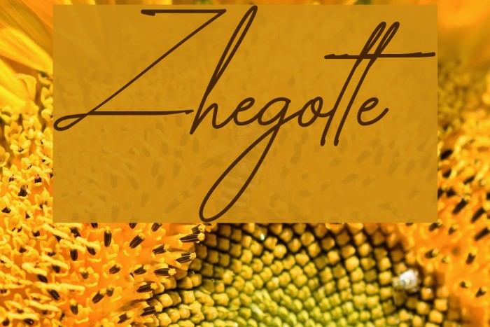 Zhegotte Fuentes examples