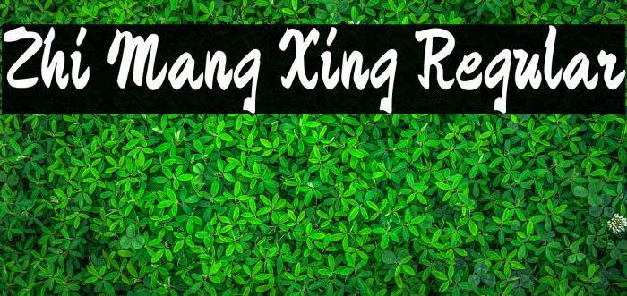 Zhi Mang Xing Regular Font examples