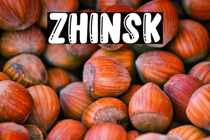Zhinsk Example 2