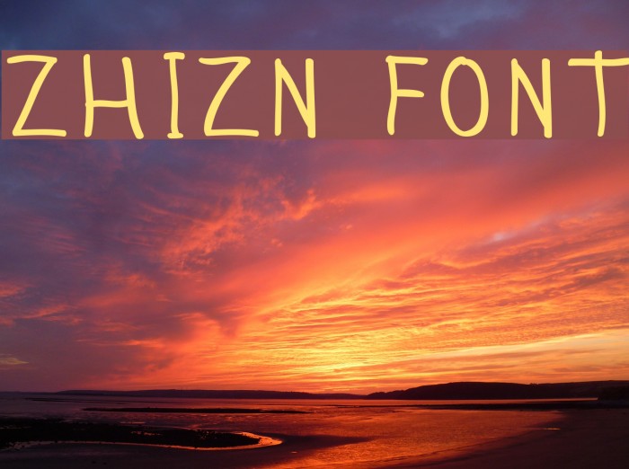 Zhizn Font examples
