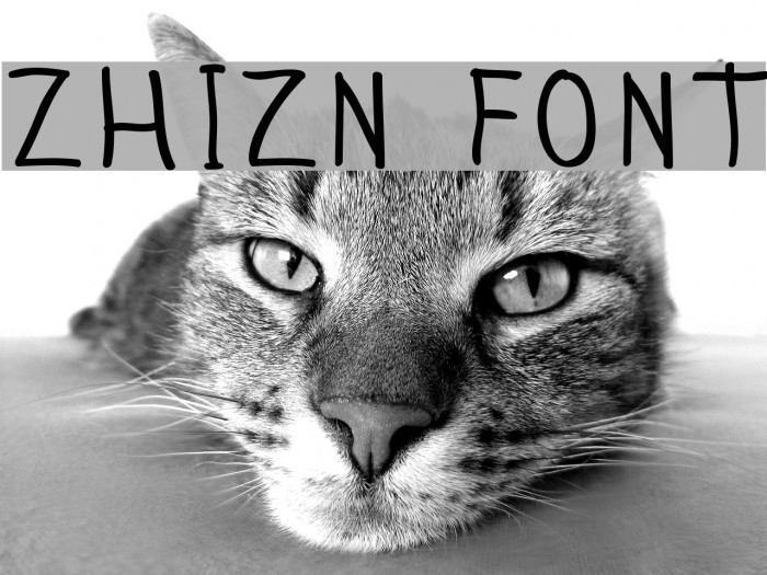 Zhizn Font examples
