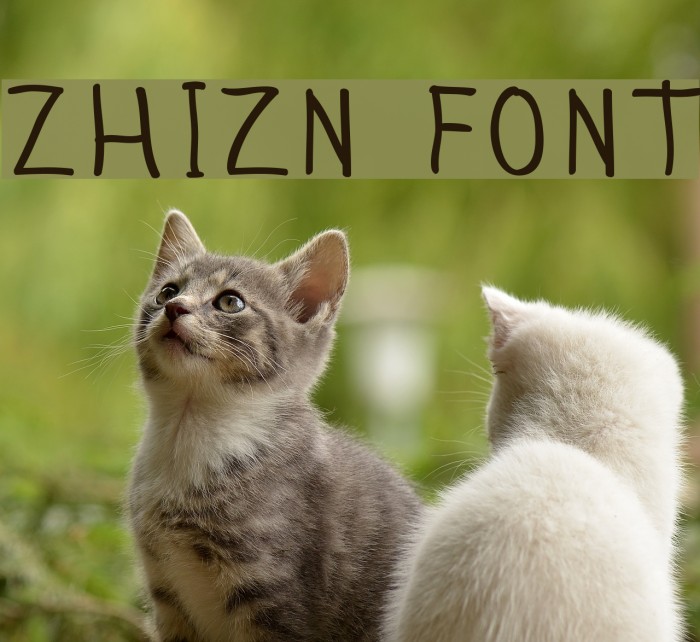Zhizn Font examples