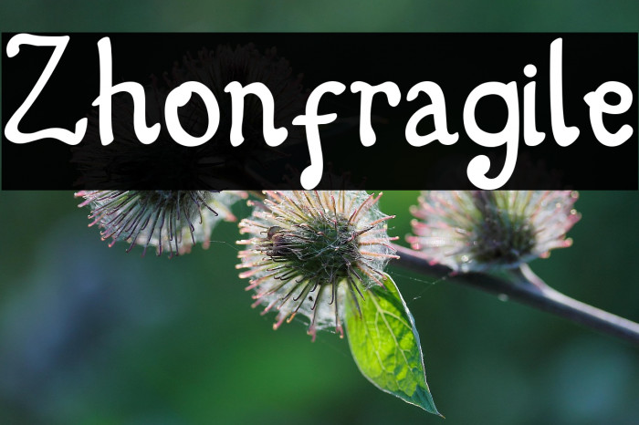 Zhonfragile Example 2