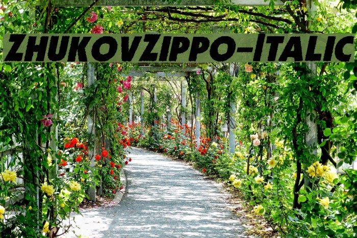 ZhukovZippo-Italic Example 1