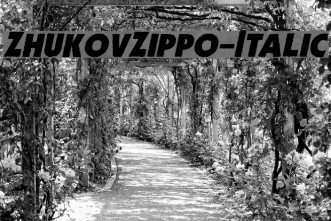 ZhukovZippo-Italic Font examples