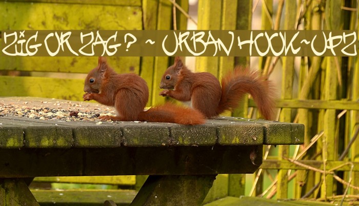 ZIG OR ZAG ? - URBAN HOOK-UPZ Example 2