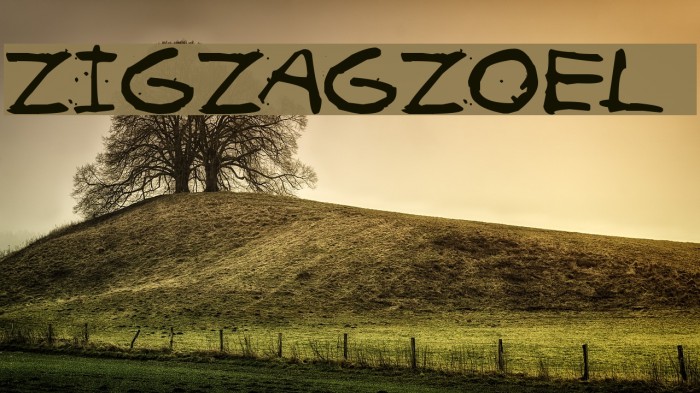 ZIGZAGZOEL Example 3