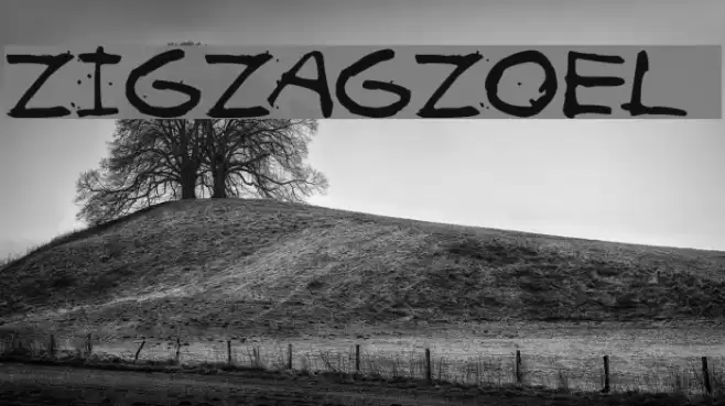 ZIGZAGZOEL Font examples