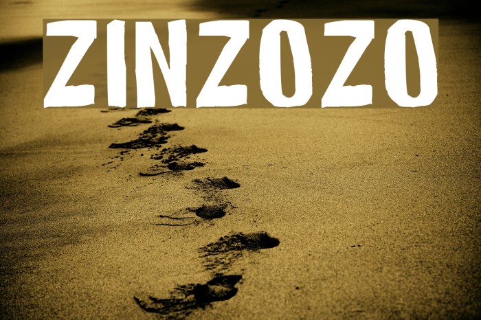 ZINZOZO Font examples