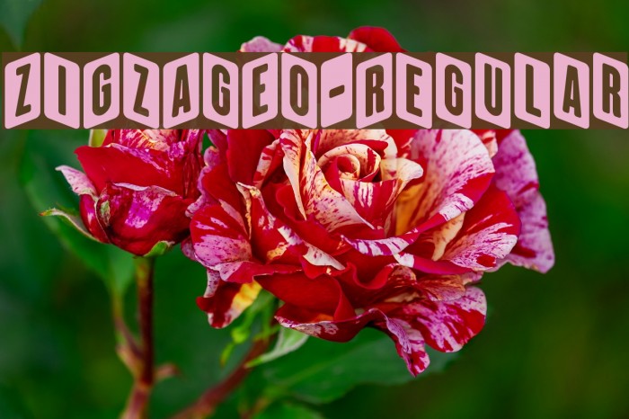ZiGzAgEo-Regular Font examples