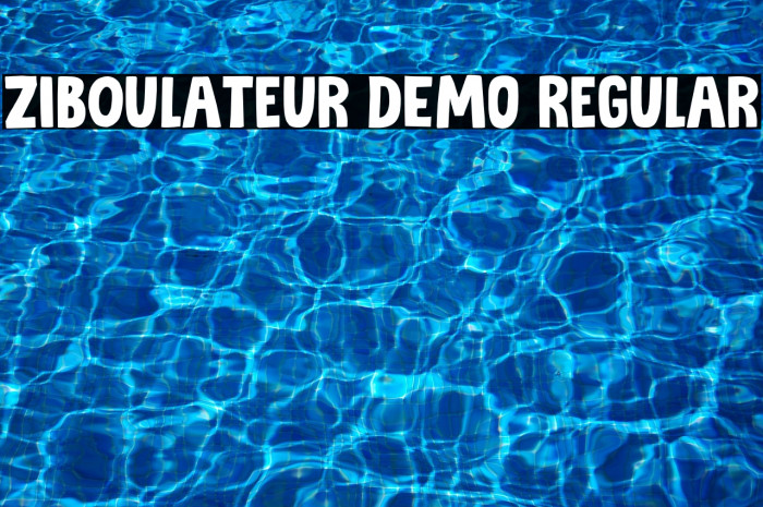 Ziboulateur DEMO Regular Example 1