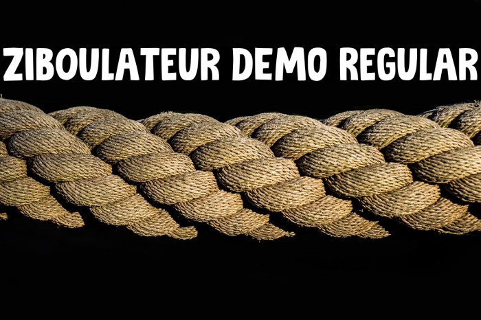 Ziboulateur DEMO Regular Example 3