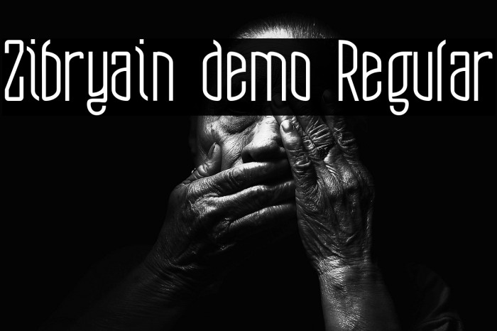 Zibryain demo Regular Example 2