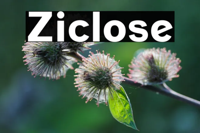 Ziclose Example 2