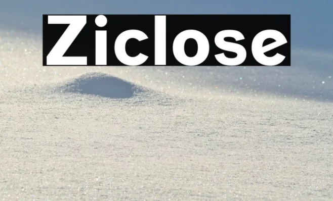 Ziclose Example 3