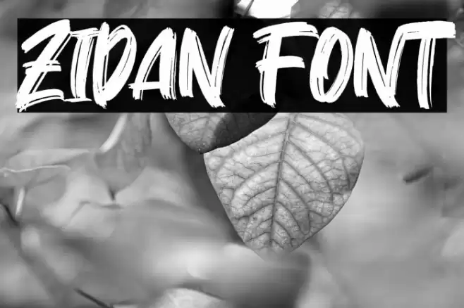 Zidan Font examples