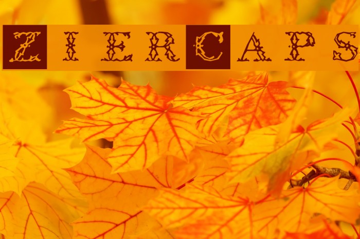 ZierCaps لخطوط تنزيل examples