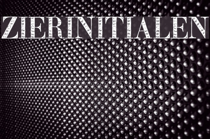 Zierinitialen2 Font examples