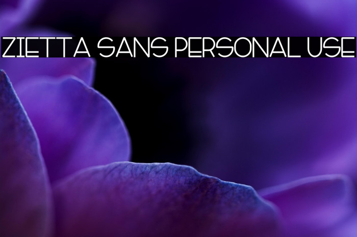 Zietta Sans Personal Use Example 1