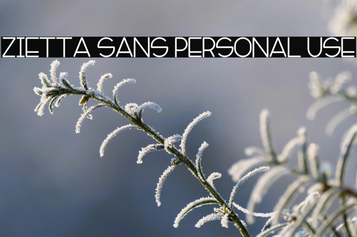 Zietta Sans Personal Use Example 2