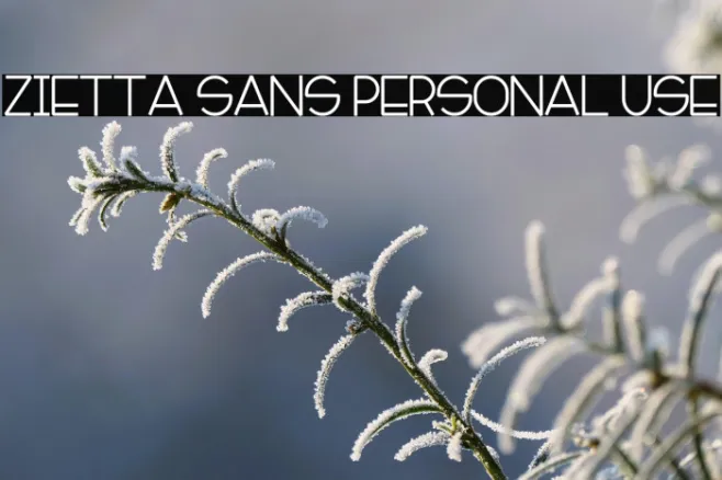 Zietta Sans Personal Use Example 2