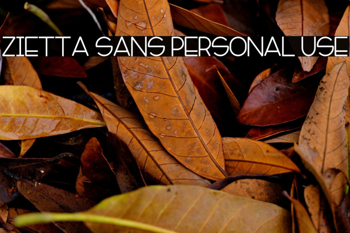 Zietta Sans Personal Use Example 3