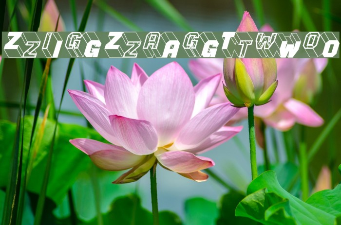 ZigZagTwo Font examples