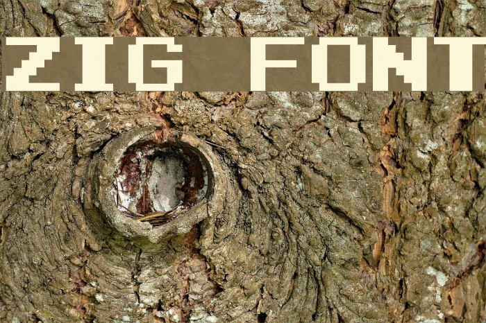 Zig Font examples
