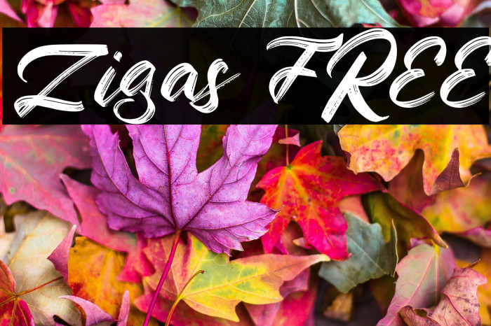 Zigas FREE Example 1