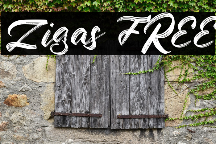 Zigas FREE Example 3