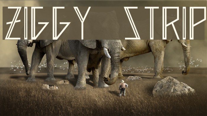 Ziggy  Strip Example 3