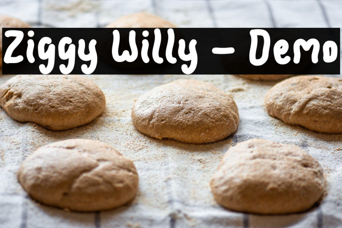 Ziggy Willy - Demo Example 2