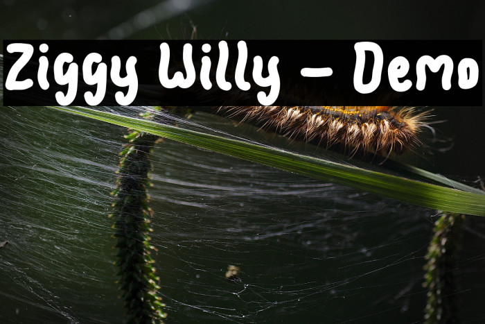 Ziggy Willy - Demo Example 3