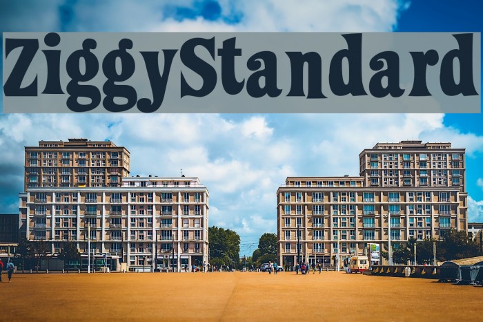 ZiggyStandard फ़ॉन्ट examples