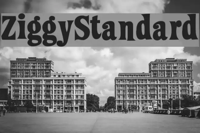 ZiggyStandard Font examples