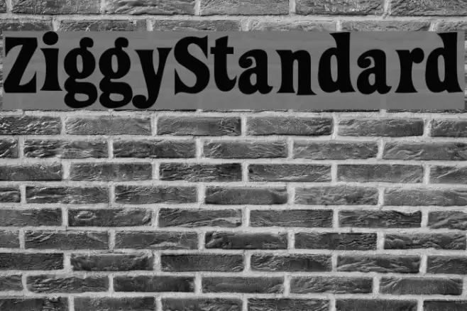 ZiggyStandard Font examples
