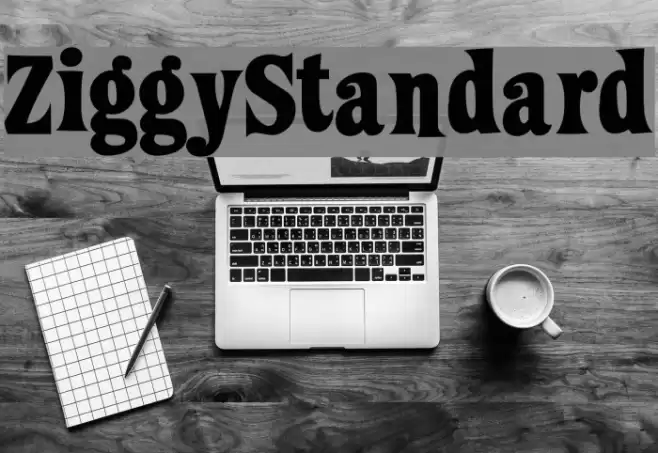 ZiggyStandard Font examples