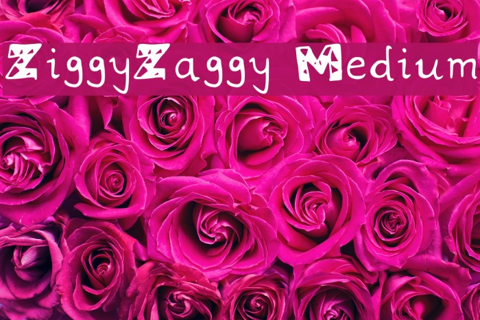 ZiggyZaggy Medium Font examples