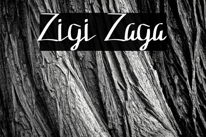 Zigi Zaga Example 1