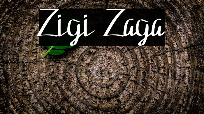 Zigi Zaga Example 3