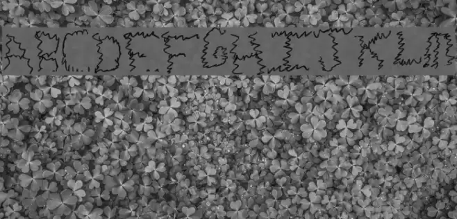 Zigie Zag Schriftart examples