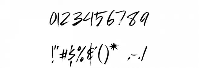 Zignature Font OTHER CHARS