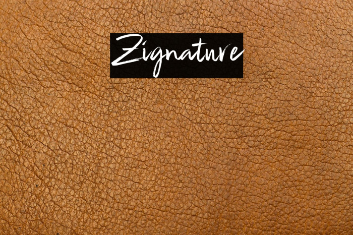 Zignature Font examples