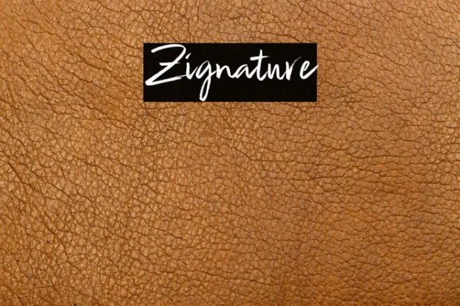 Zignature Example 1