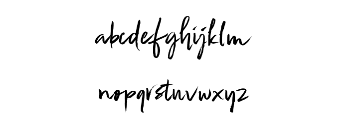 Zignature Font LOWERCASE