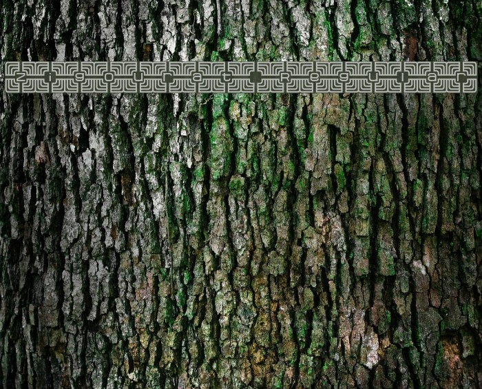 Zigourat Regular Font examples