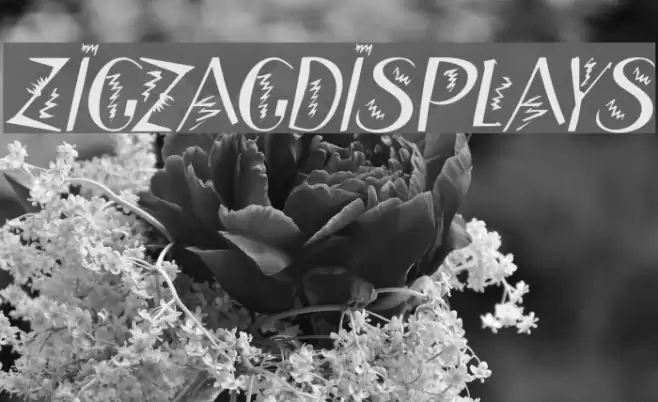 ZigzagDisplays Font examples